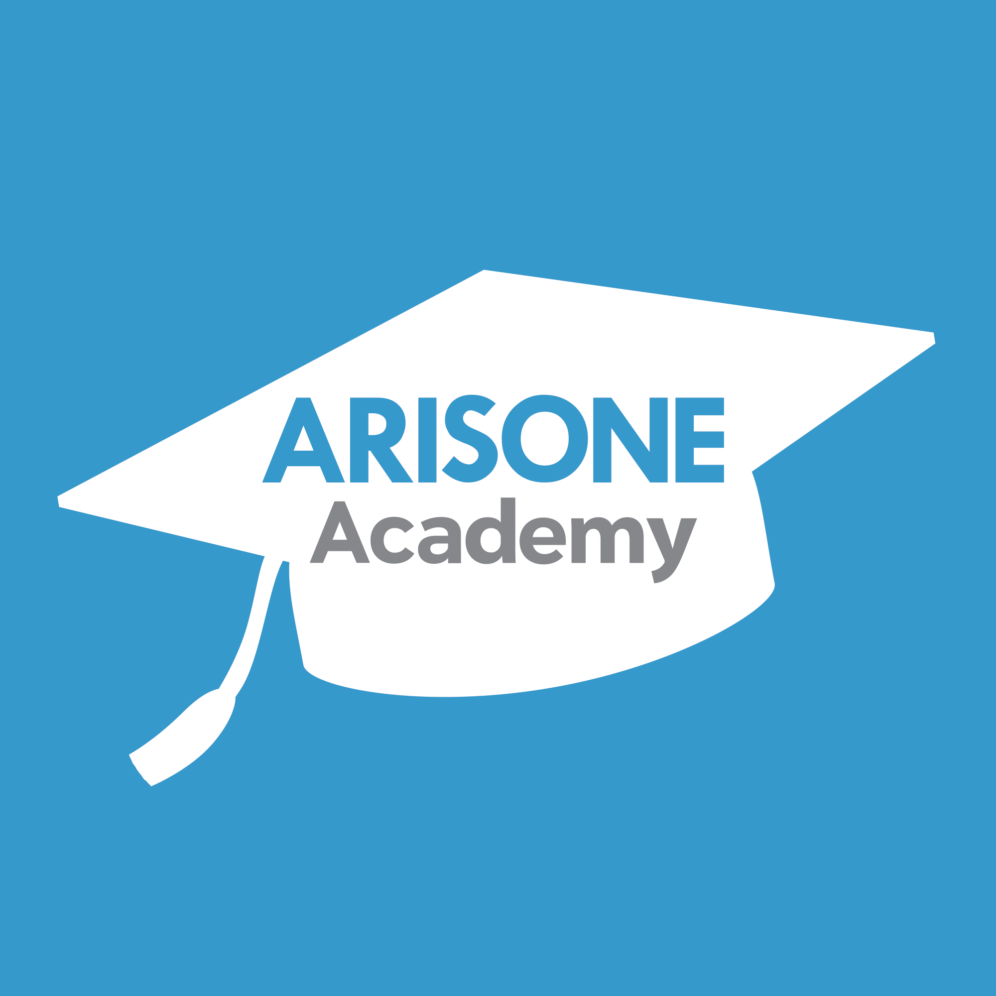 Arisone Academy